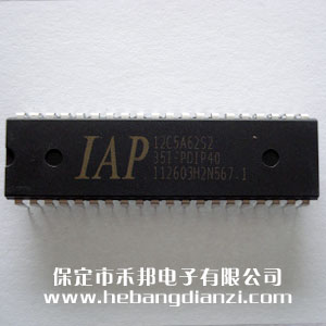 IAP12C5A62S2-35I-PDIP40