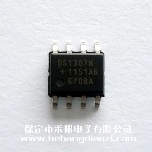 DS1307ZN+ 
