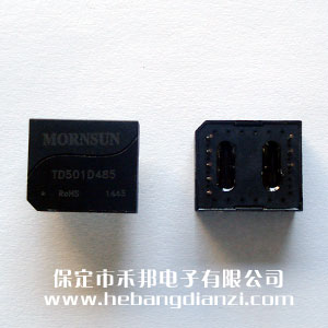 485ģ TD501D485