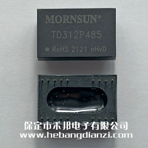 485ģ TD312P485