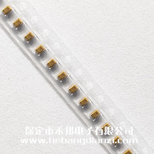 22uF  6.3V